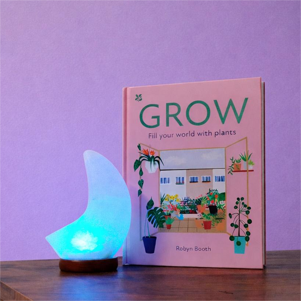 Lamp size comparison