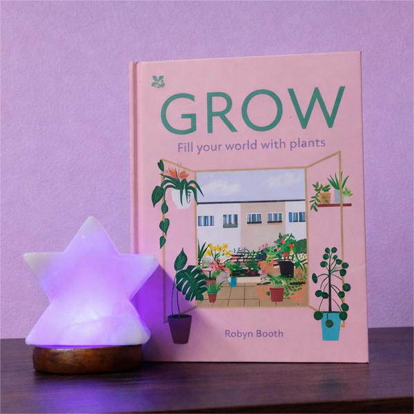 Lamp size comparison