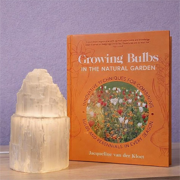 Lamp size comparison